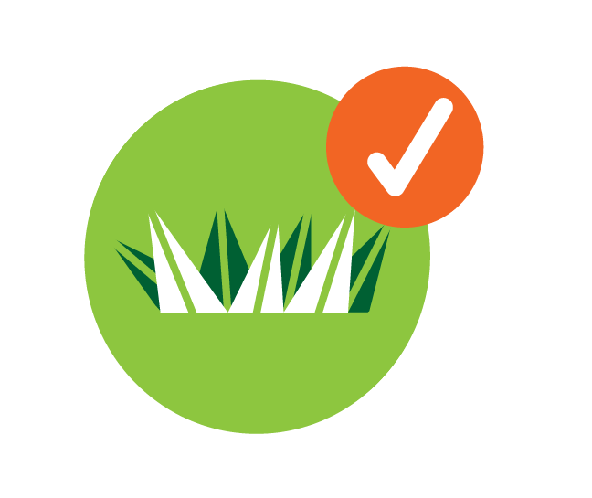 common lawn program app 1