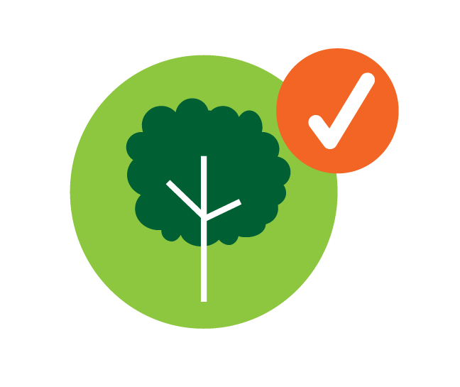 tree program deep root