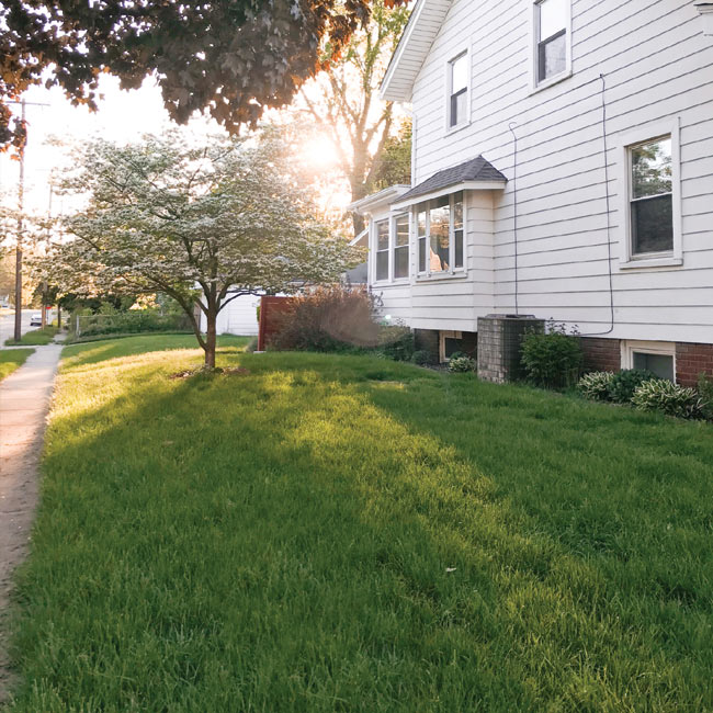 fertilized lawn in Toledo