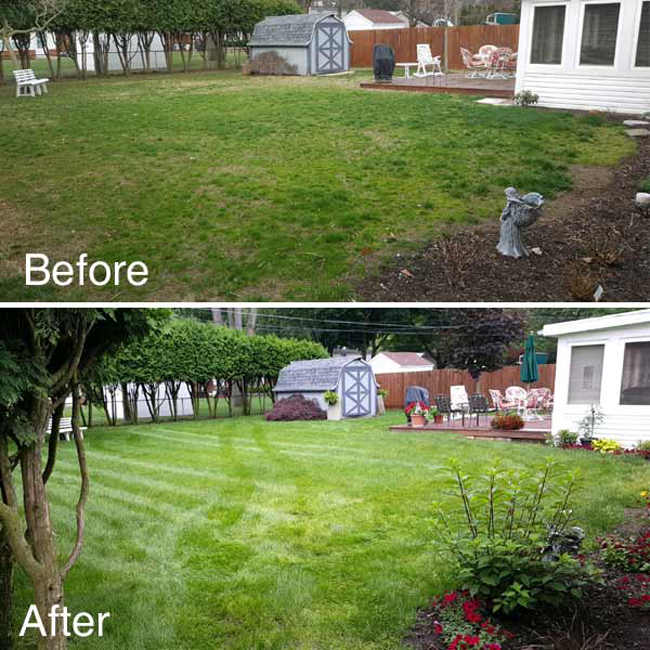 before and after lawn