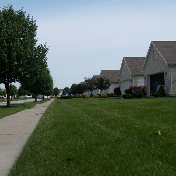 lawn picture toledo