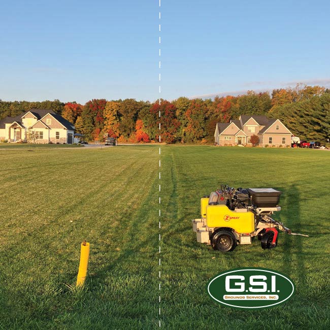 gsi lawn care vs other lawn