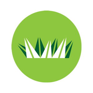 lawn program weed control
