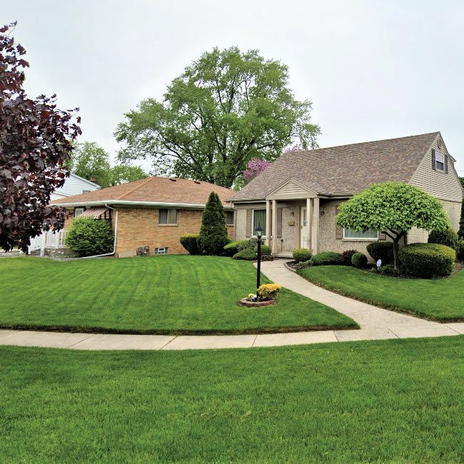 front lawn fertilization treatment