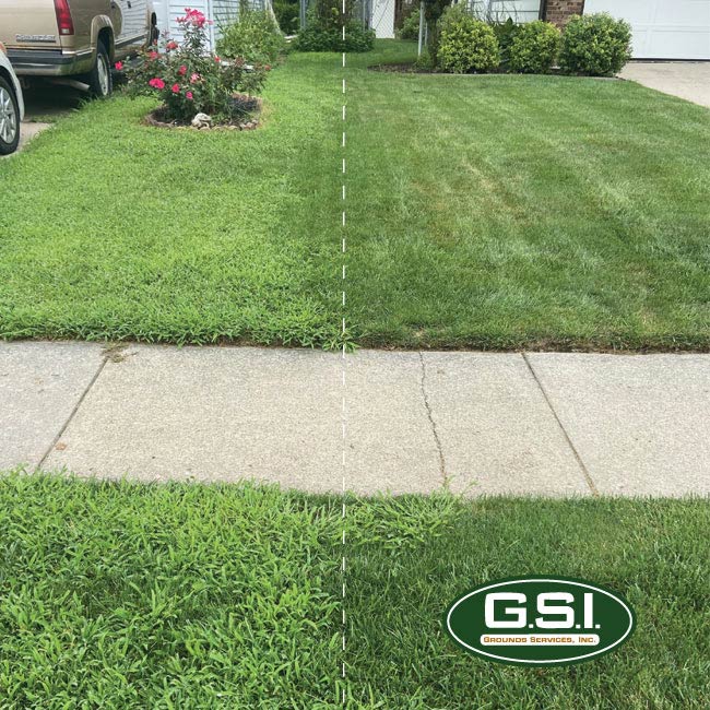 crabgrass prevention vs no crabgrass prevention