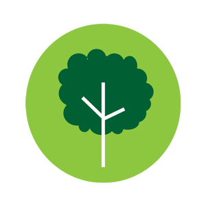 tree program disease control
